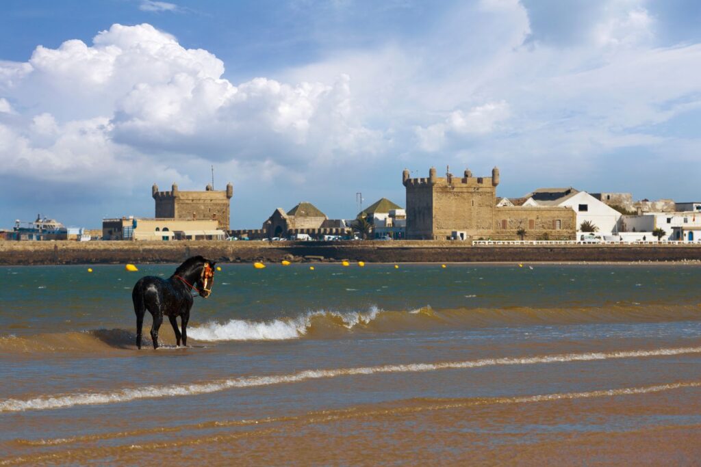 Essaouira